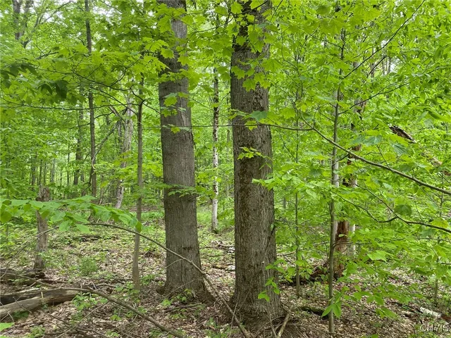 $399,000 | White Road, Parish, NY 13131