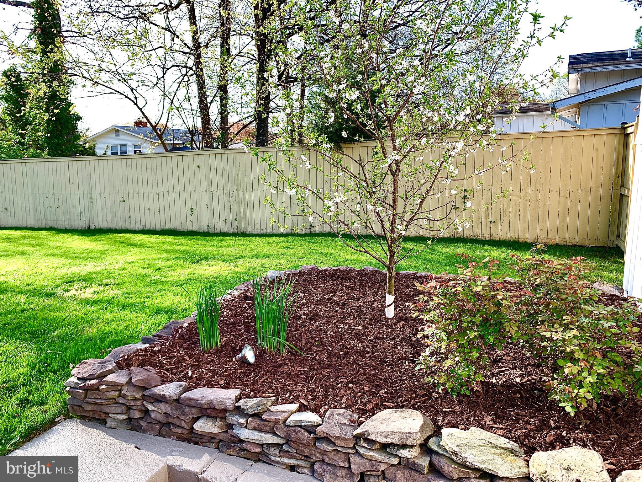6009 Frontier Drive Springfield, VA 22150 - Photo 27 of 29 Gallery Image 27