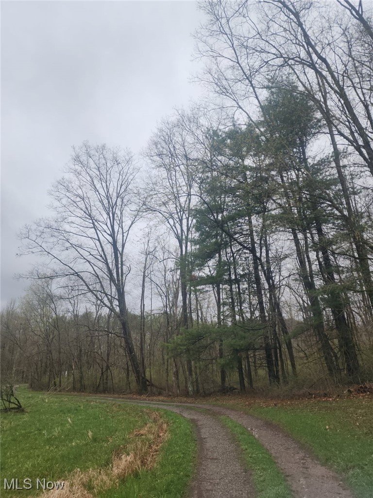 Cadiz Dennison Road Cadiz, OH 43907 - Photo 1 of 3 View of road