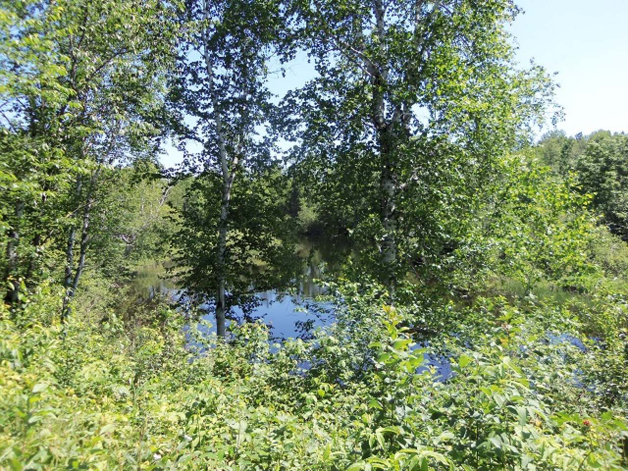 5445 Weber Lake Road Mercer, WI 54547 - Photo 15 of 23 Gallery Image 15