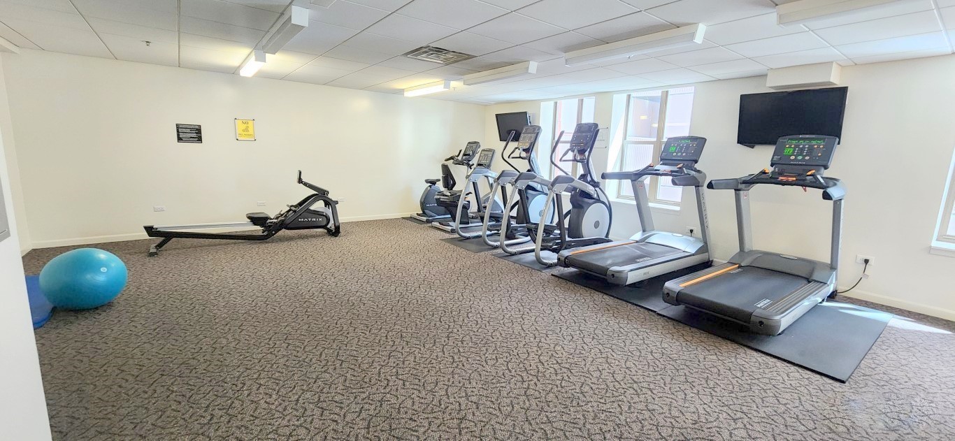 1250 South Indiana Avenue, Unit 802 Chicago, IL 60605 - Photo 18 of 20 a view of a room with gym equipment