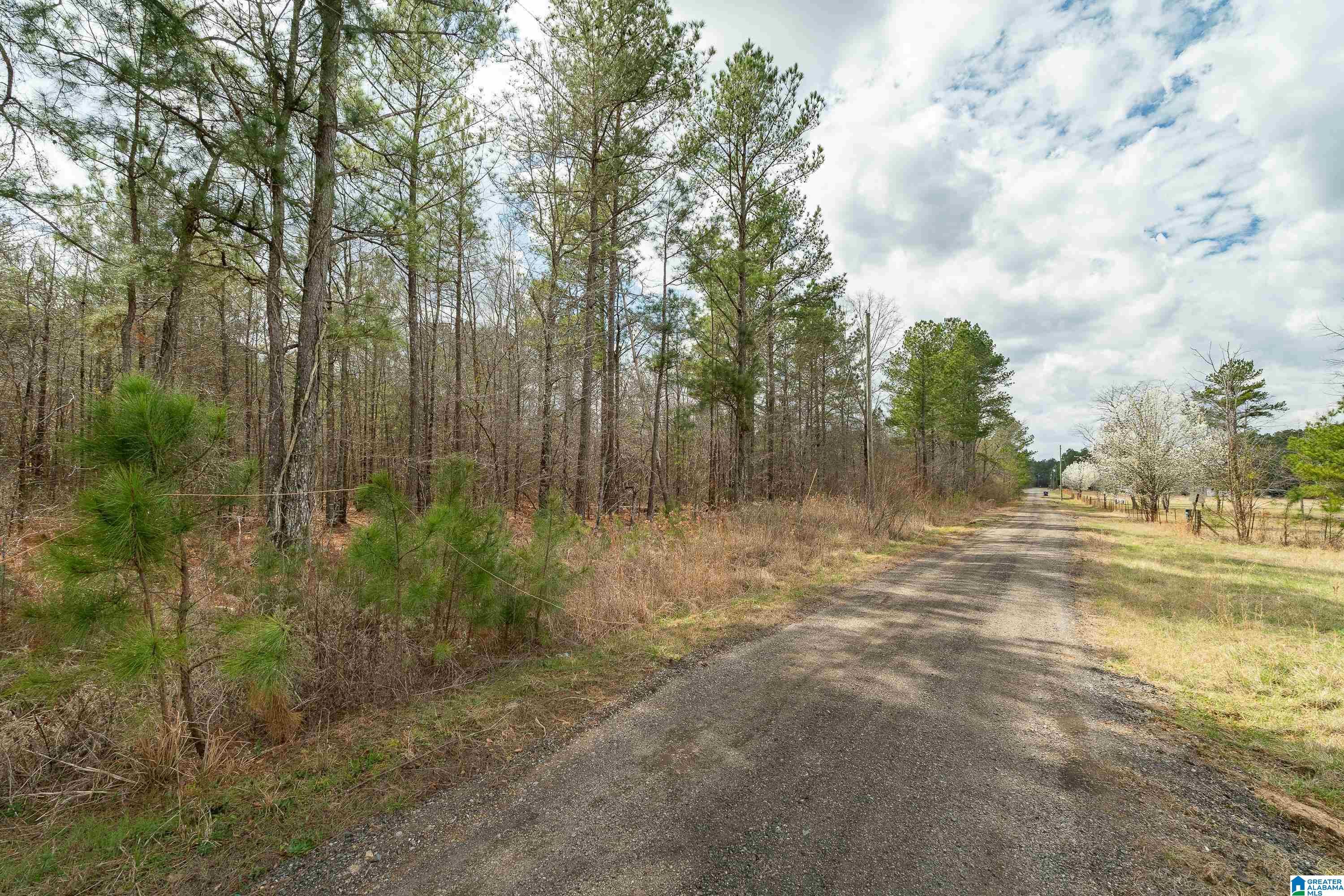 7 Fisher Phillips, Unit 7 Ashville, AL 35953 - Photo 15 of 28