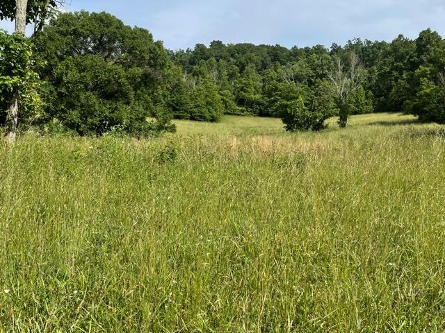 Tbd Old Snapps Ferry Road, Unit 12 Limestone, TN 37681 - Photo 2 of 8 IMG_1227 (1)