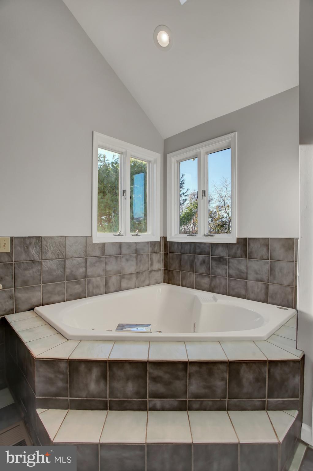 955 Berger Road Easton, PA 18042 - Photo 38 of 57 Master Bathroom