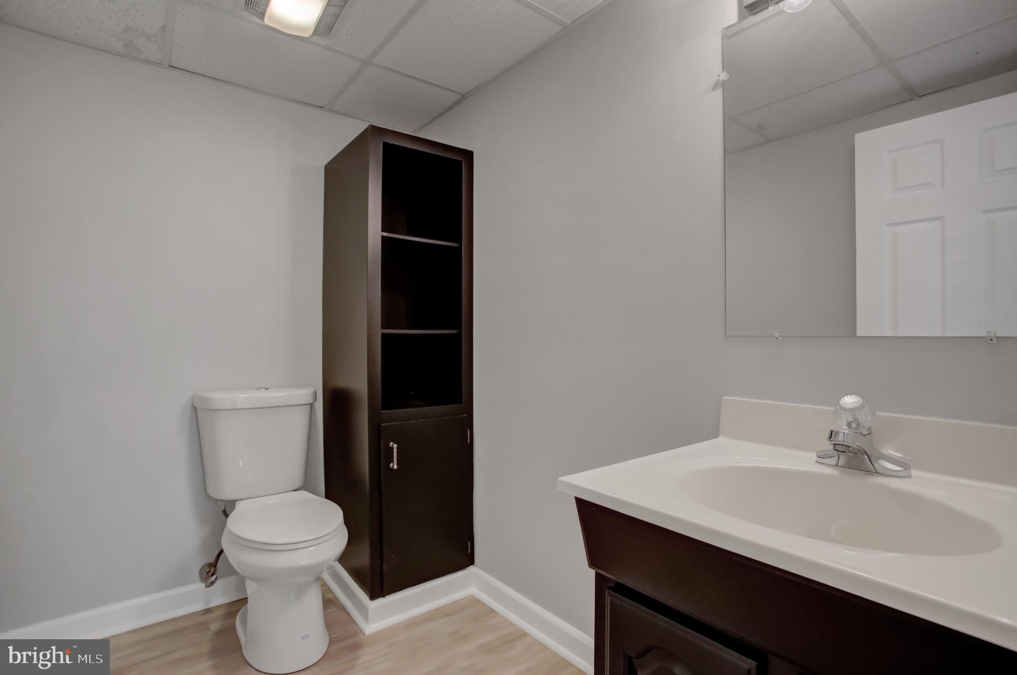955 Berger Road Easton, PA 18042 - Photo 50 of 57 Bathroom in Basement