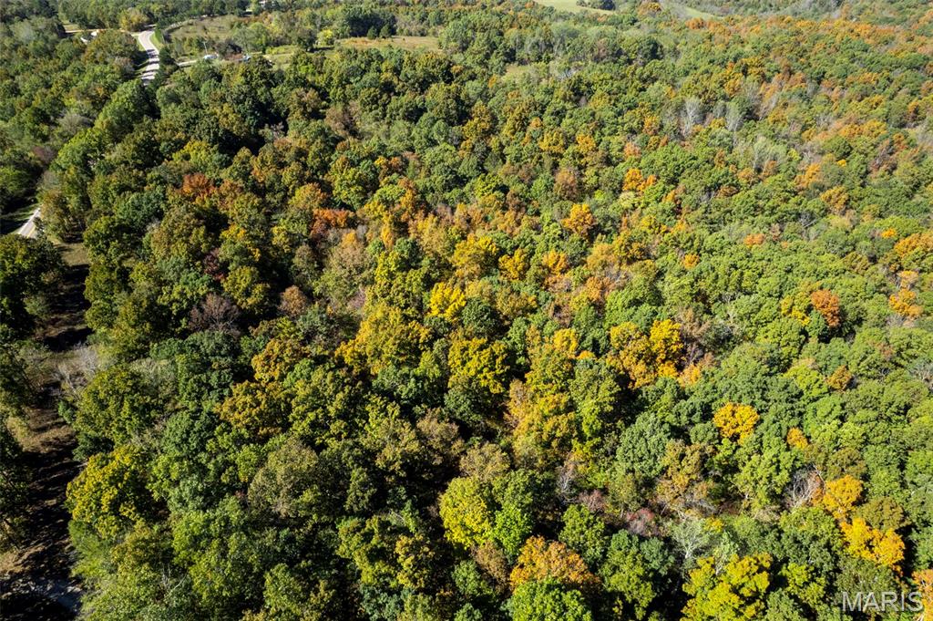 0 Rr 5 Marble Hill Marble Hill, MO 63764 - Photo 13 of 29