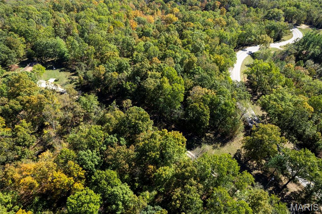 0 Rr 5 Marble Hill Marble Hill, MO 63764 - Photo 14 of 29