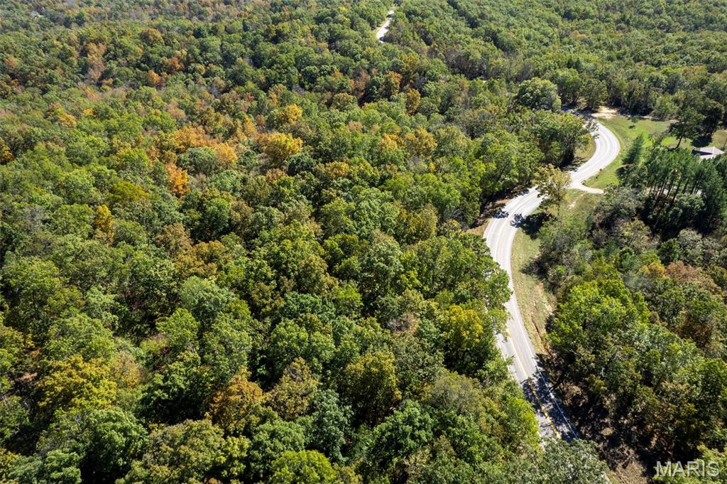 0 Rr 5 Marble Hill Marble Hill, MO 63764 - Photo 15 of 29