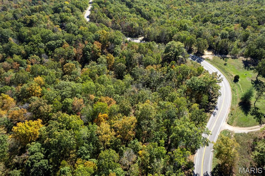 0 Rr 5 Marble Hill Marble Hill, MO 63764 - Photo 16 of 29