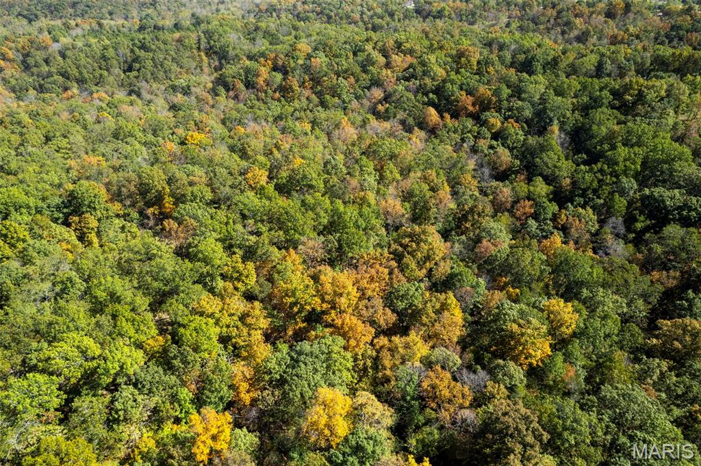 0 Rr 5 Marble Hill Marble Hill, MO 63764 - Photo 17 of 29