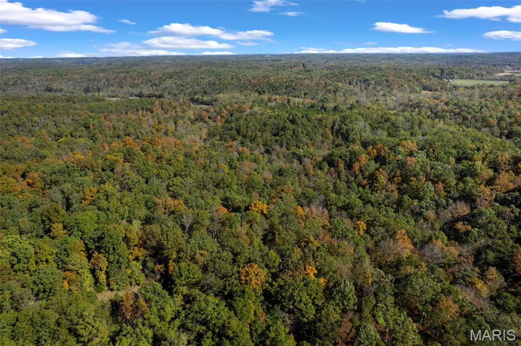 0 Rr 5 Marble Hill Marble Hill, MO 63764 - Photo 19 of 29