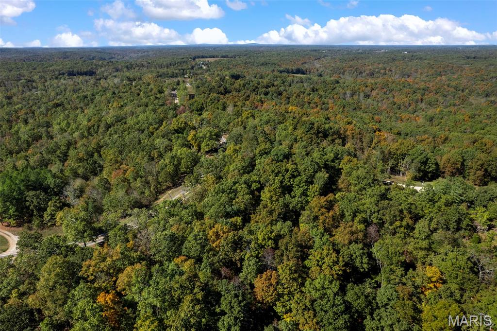 0 Rr 5 Marble Hill Marble Hill, MO 63764 - Photo 21 of 29