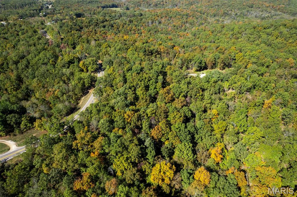 0 Rr 5 Marble Hill Marble Hill, MO 63764 - Photo 22 of 29