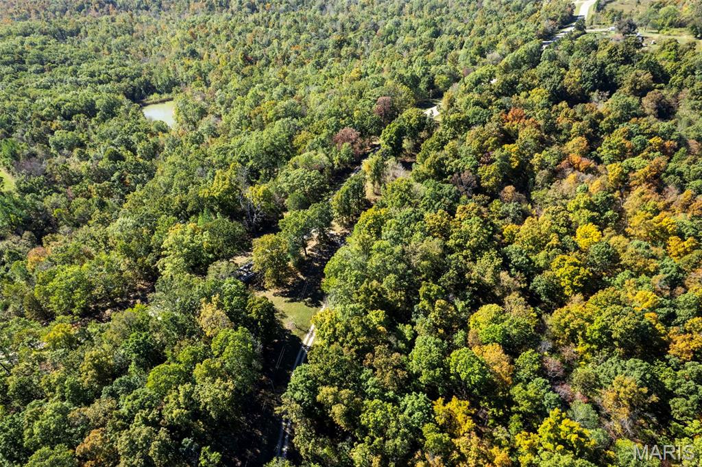 0 Rr 5 Marble Hill Marble Hill, MO 63764 - Photo 25 of 29