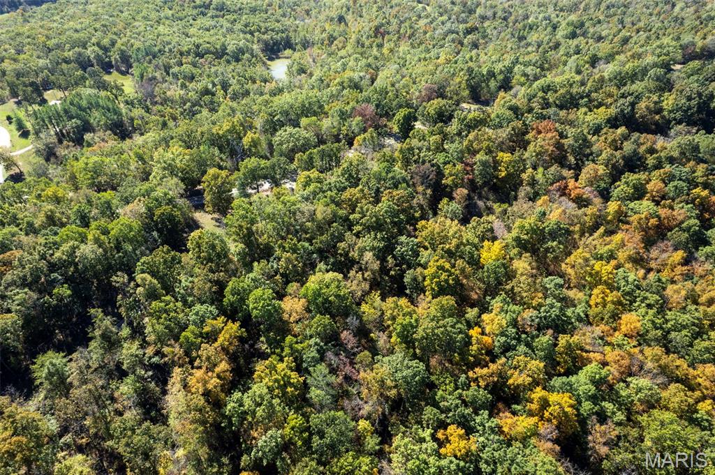 0 Rr 5 Marble Hill Marble Hill, MO 63764 - Photo 26 of 29