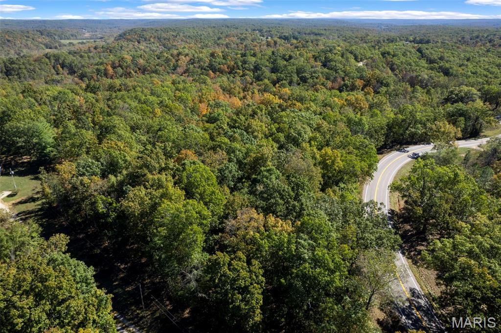 0 Rr 5 Marble Hill Marble Hill, MO 63764 - Photo 29 of 29