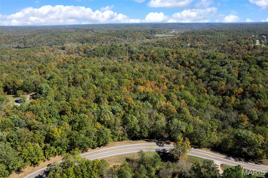 0 Rr 5 Marble Hill Marble Hill, MO 63764 - Photo 3 of 29