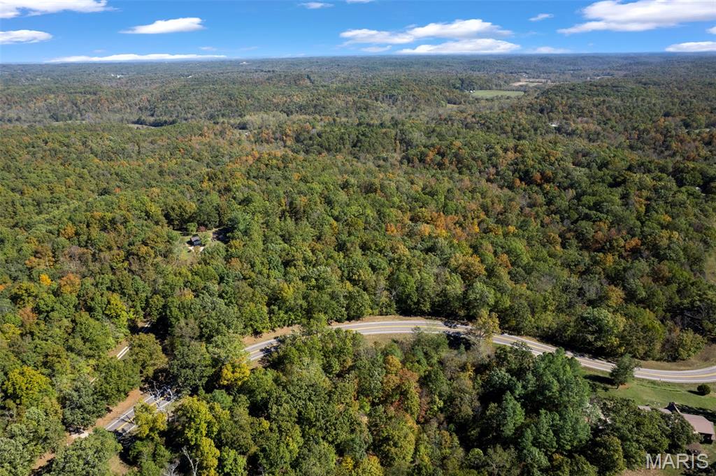 0 Rr 5 Marble Hill Marble Hill, MO 63764 - Photo 4 of 29