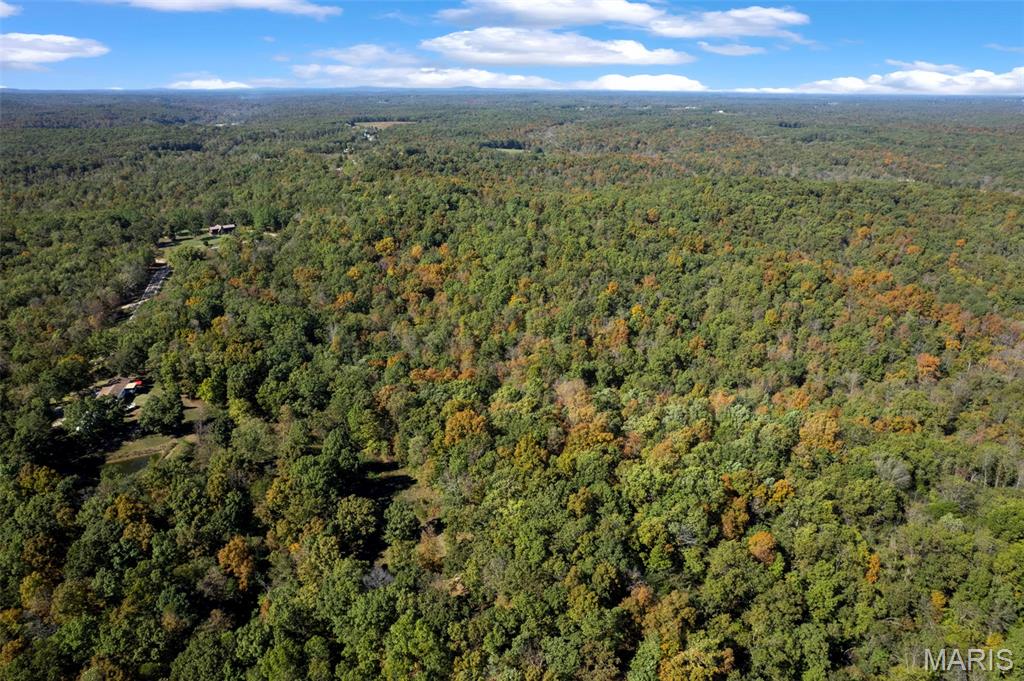 0 Rr 5 Marble Hill Marble Hill, MO 63764 - Photo 6 of 29