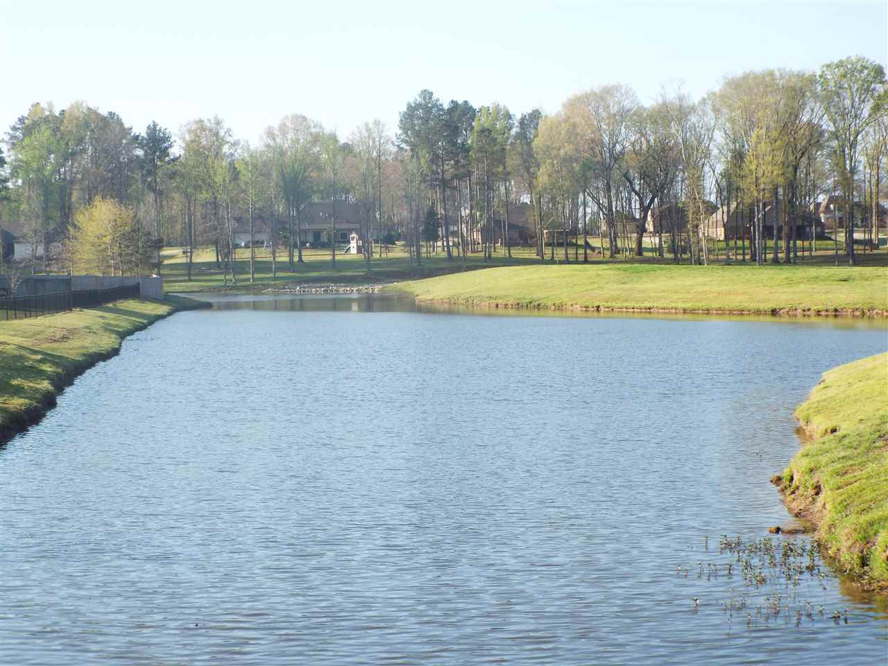 104 Jacks Run Madison, MS 39110 - Photo 20 of 23 Photo 20