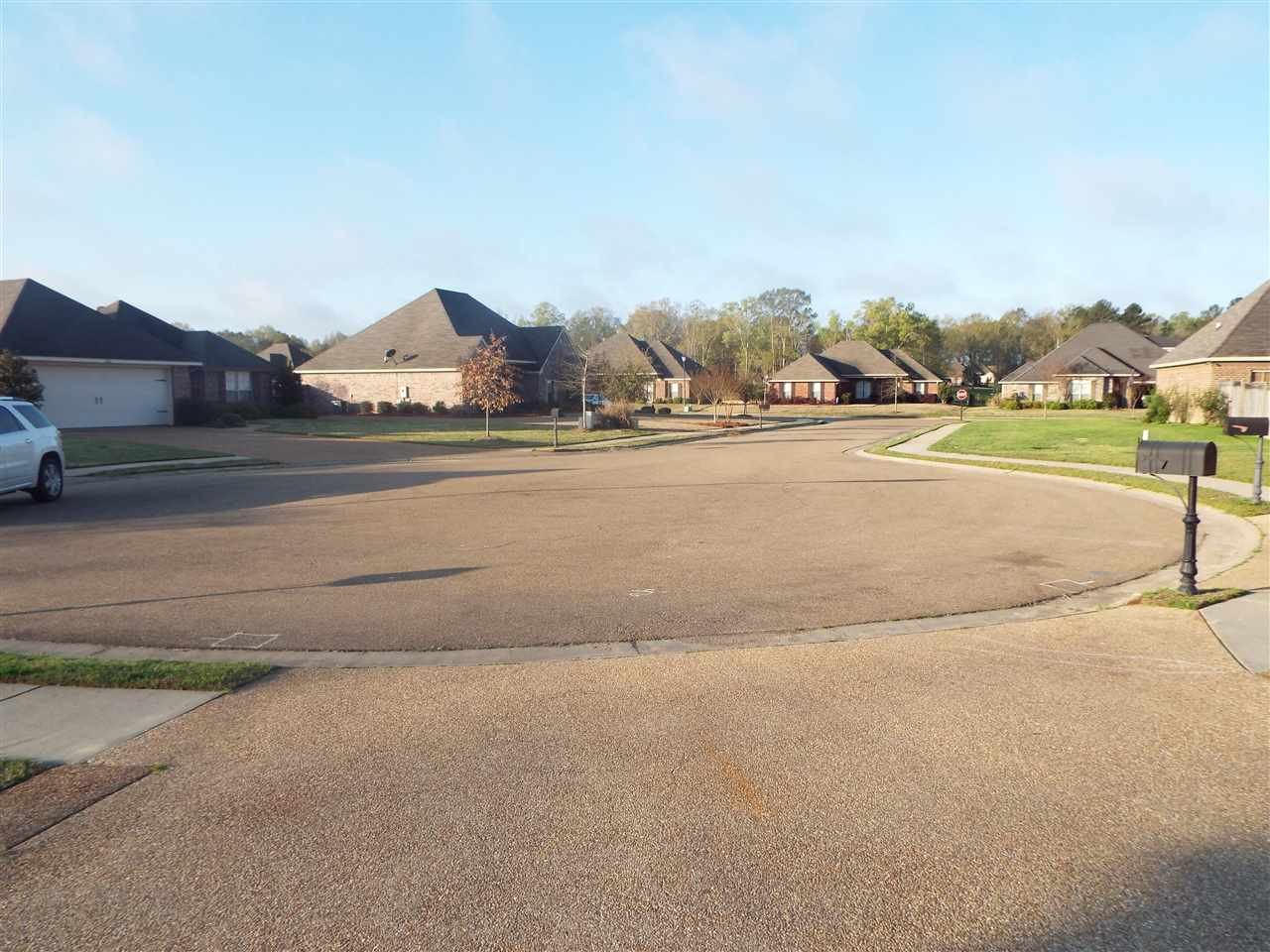104 Jacks Run Madison, MS 39110 - Photo 3 of 23 Photo 3