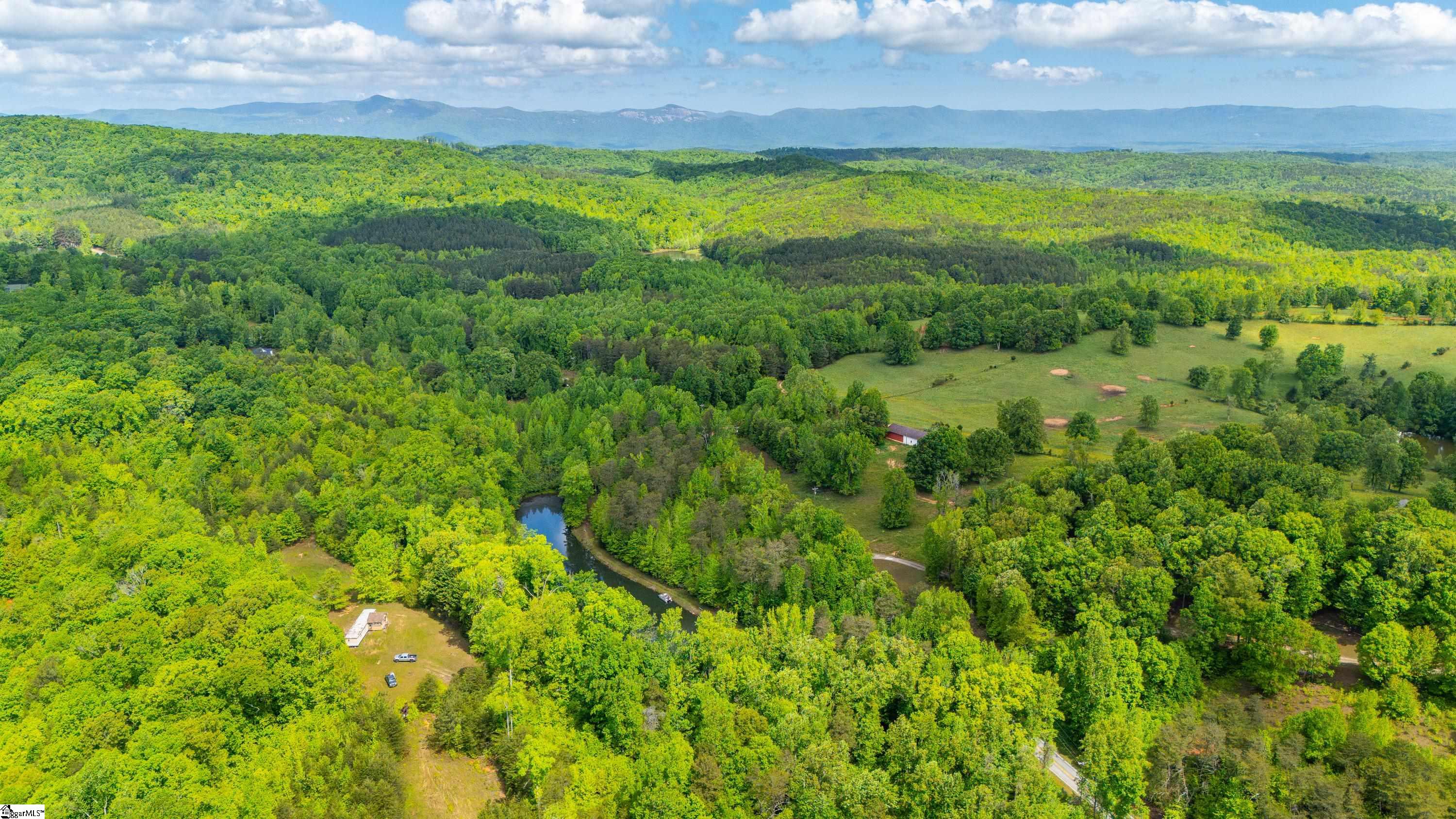 890 Earls Bridge Road Easley, SC 29640 - Photo 4 of 4