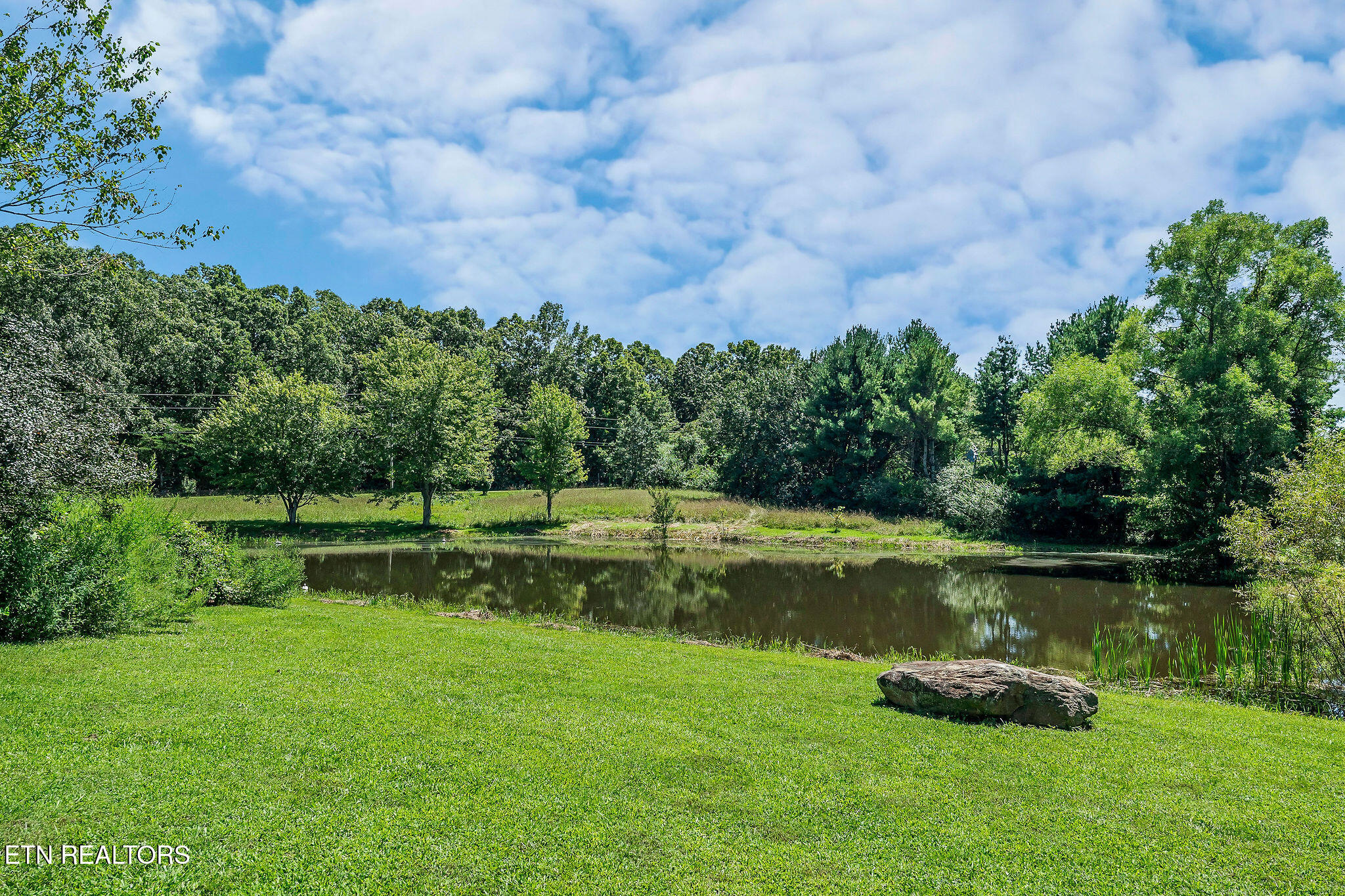 268 Plateau Road Crossville, TN 38571 - Photo 11 of 42 Pond view