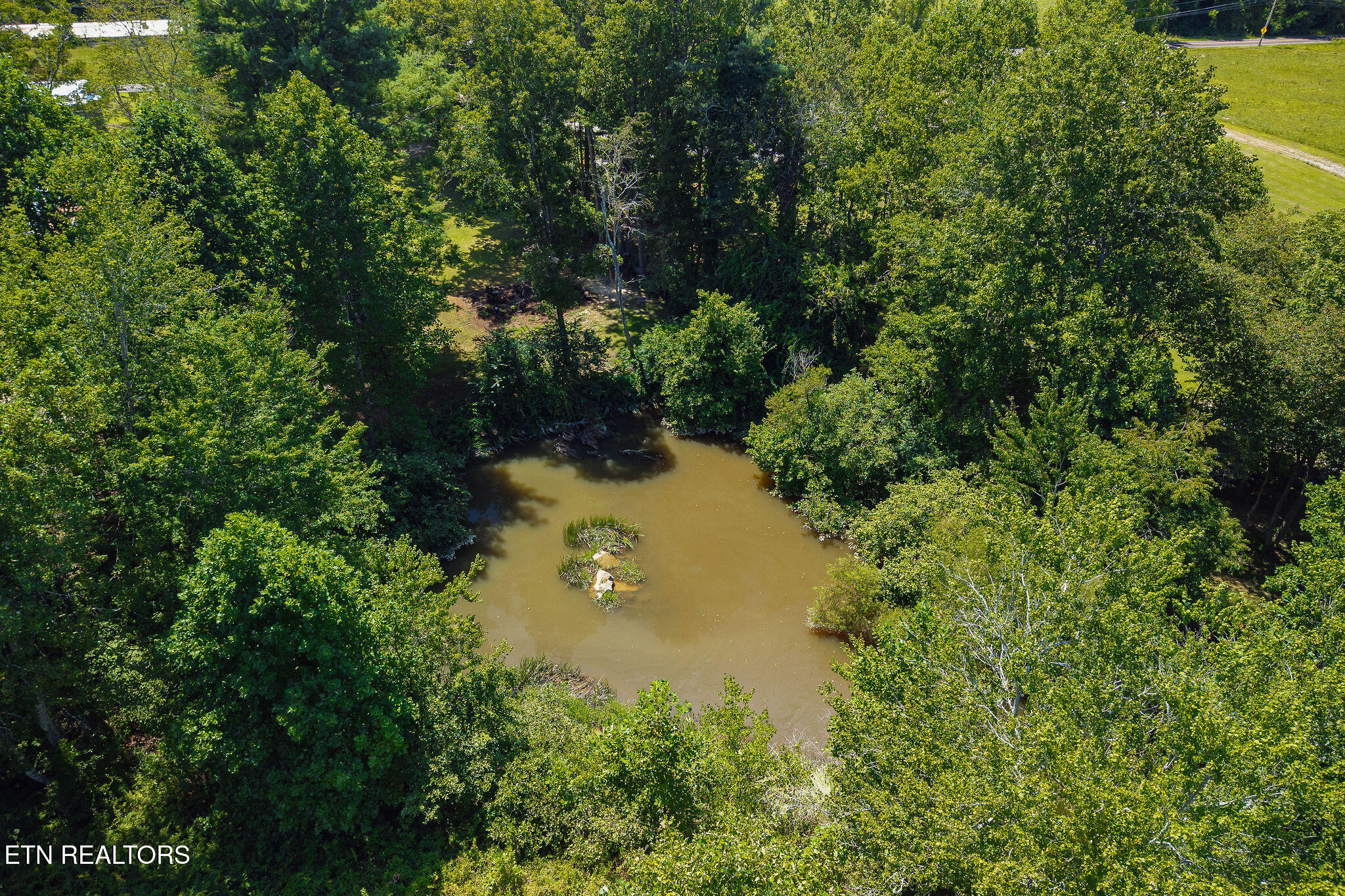 268 Plateau Road Crossville, TN 38571 - Photo 14 of 42 268 Plateau Rd