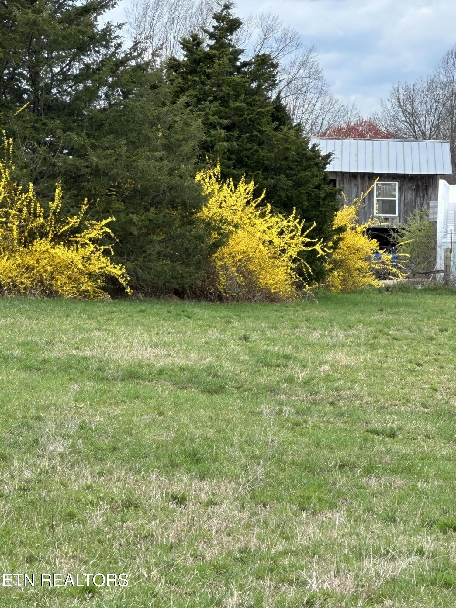 268 Plateau Road Crossville, TN 38571 - Photo 15 of 58 Landscape