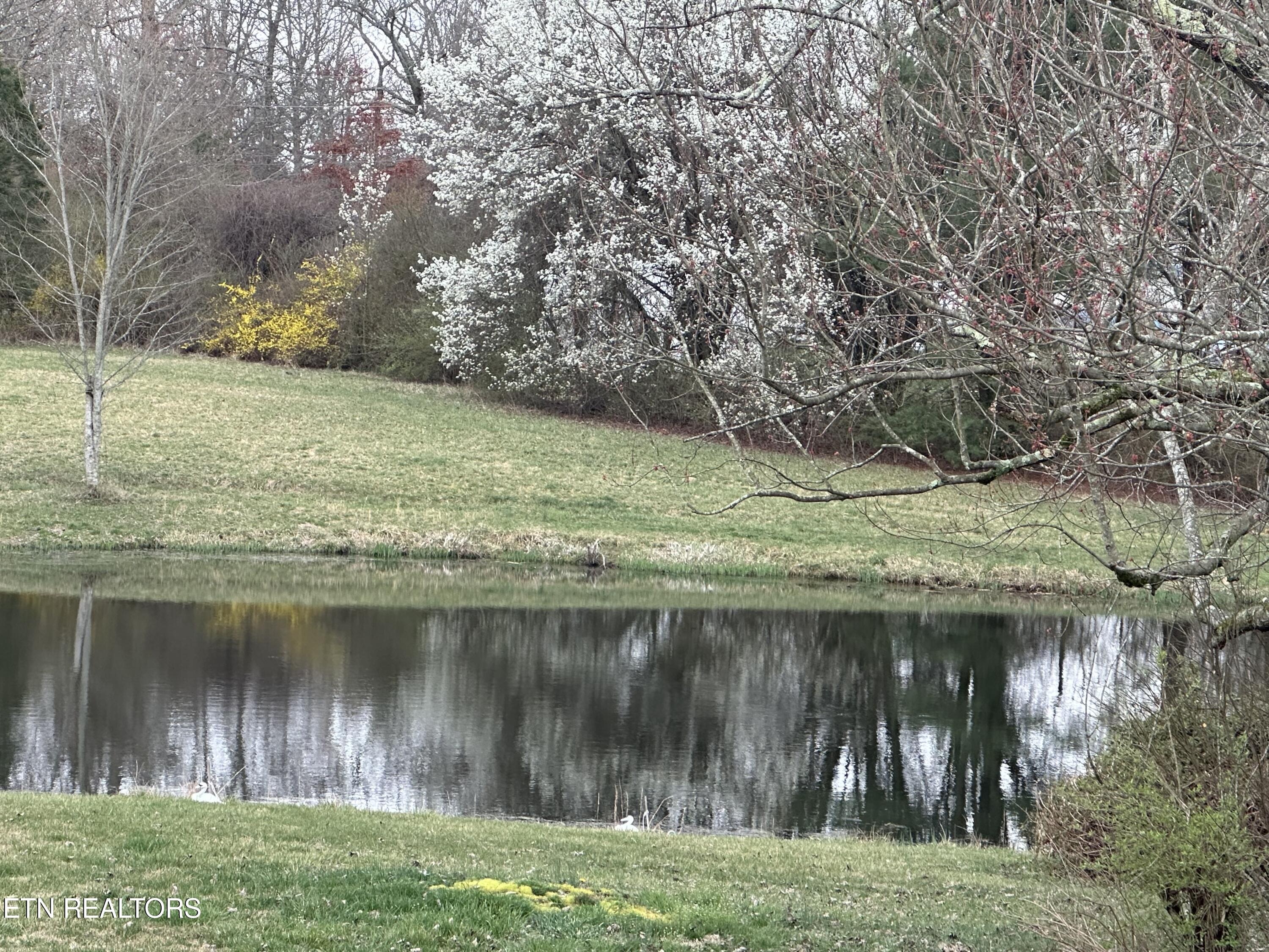 268 Plateau Road Crossville, TN 38571 - Photo 16 of 58 Landscape