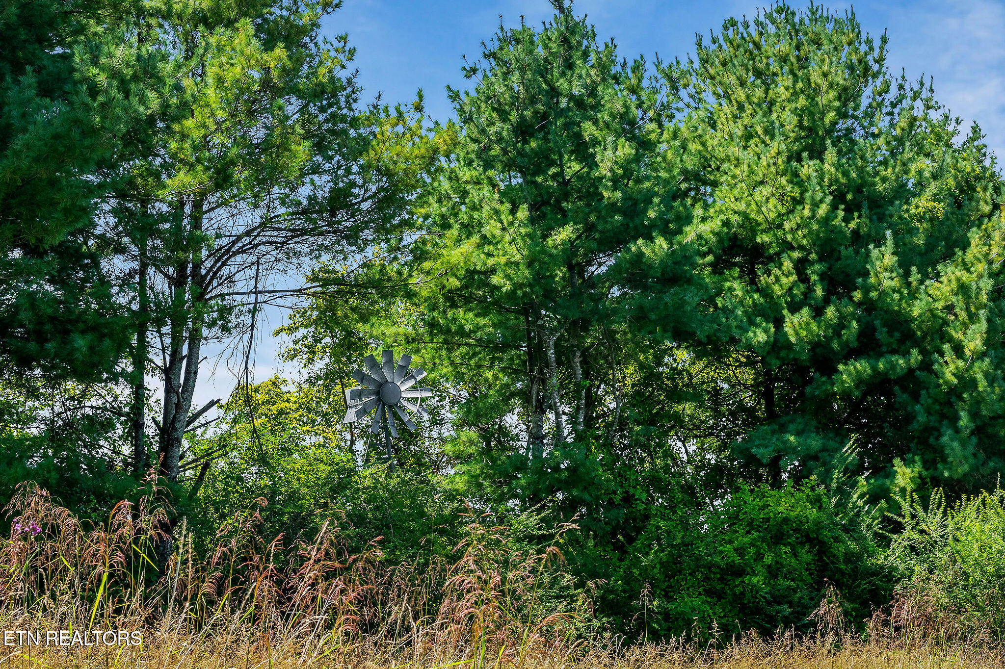 268 Plateau Road Crossville, TN 38571 - Photo 21 of 42 268 Plateau Rd