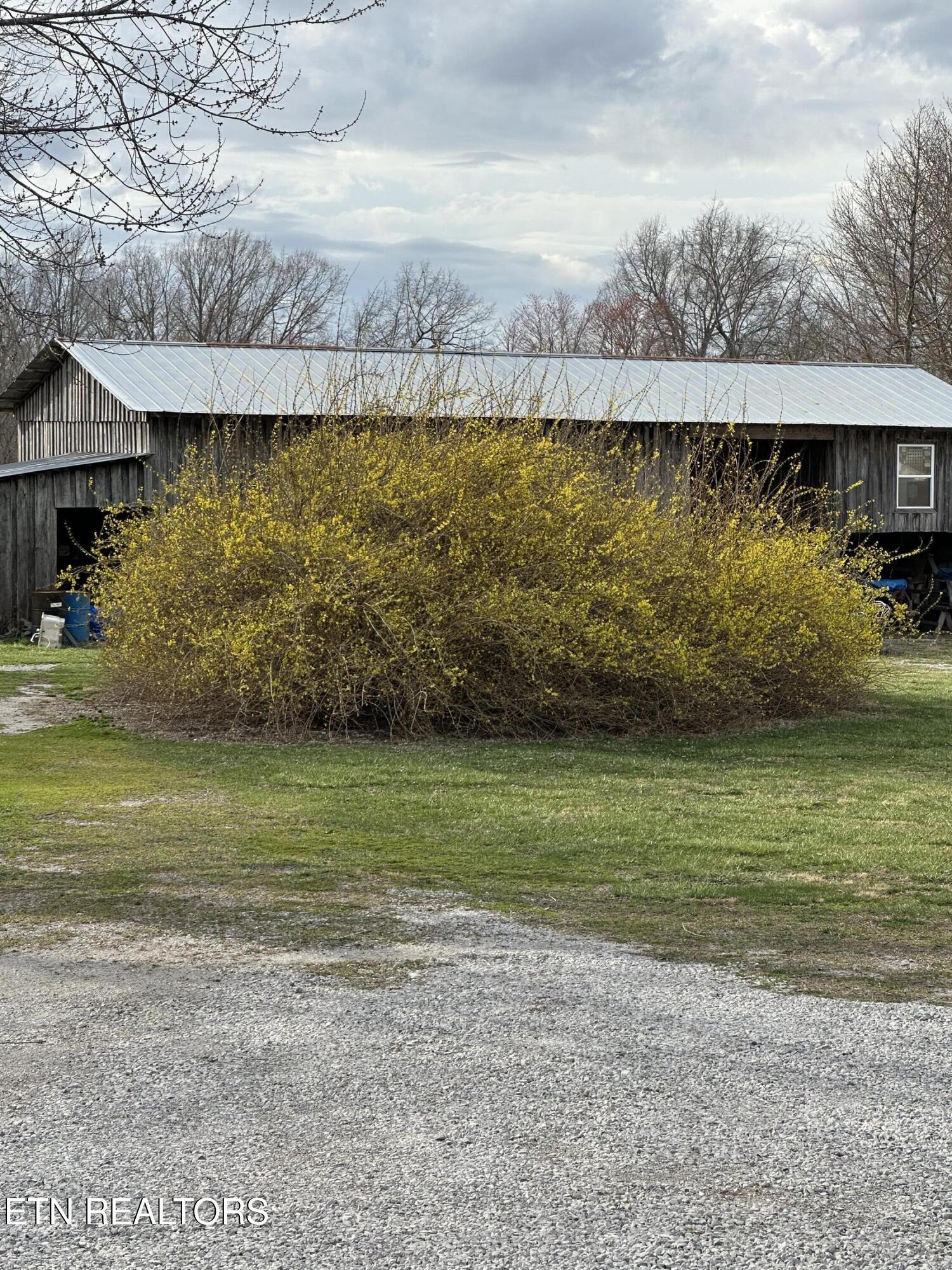 268 Plateau Road Crossville, TN 38571 - Photo 37 of 58 Landscape