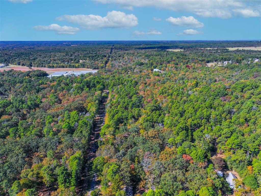 Lot 7 King Sebastian Road Scroggins, TX 75480 - Photo 12 of 40 a view of a green field