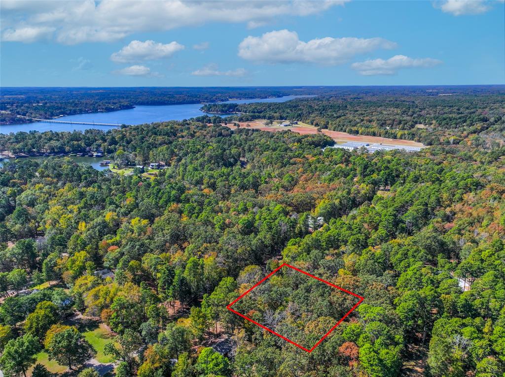 Lot 7 King Sebastian Road Scroggins, TX 75480 - Photo 13 of 40