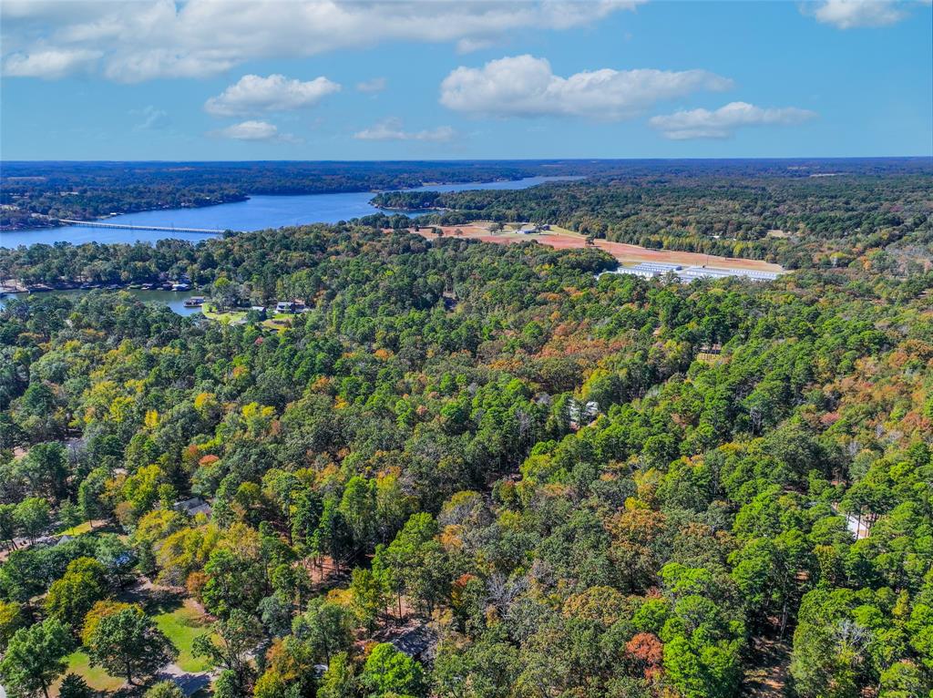 Lot 7 King Sebastian Road Scroggins, TX 75480 - Photo 14 of 40