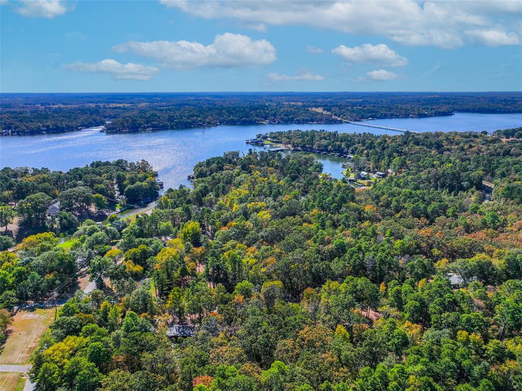 Lot 7 King Sebastian Road Scroggins, TX 75480 - Photo 16 of 40 a view of a yard with an ocean