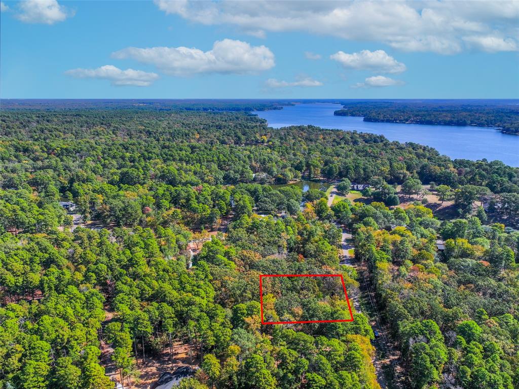 Lot 7 King Sebastian Road Scroggins, TX 75480 - Photo 19 of 40