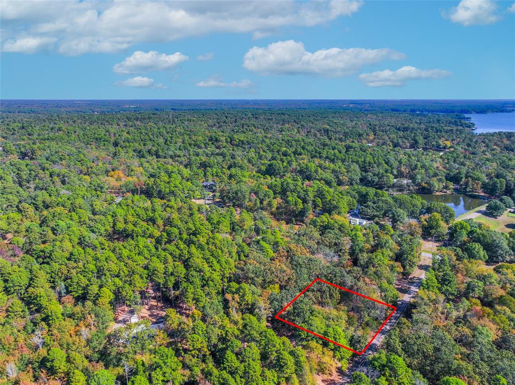 Lot 7 King Sebastian Road Scroggins, TX 75480 - Photo 21 of 40 a view of a yard