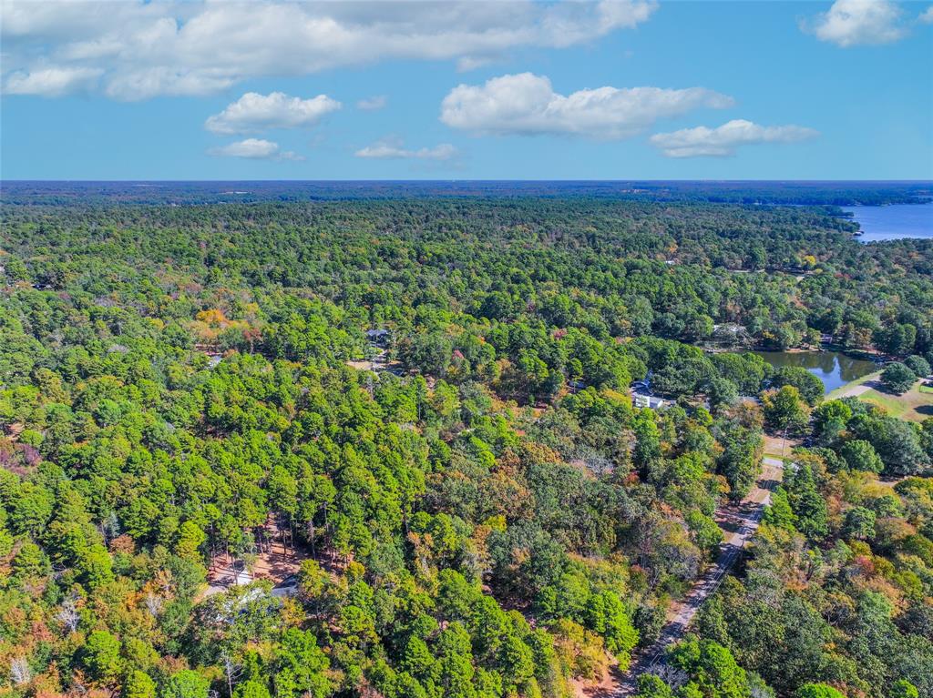Lot 7 King Sebastian Road Scroggins, TX 75480 - Photo 22 of 40 a view of a yard