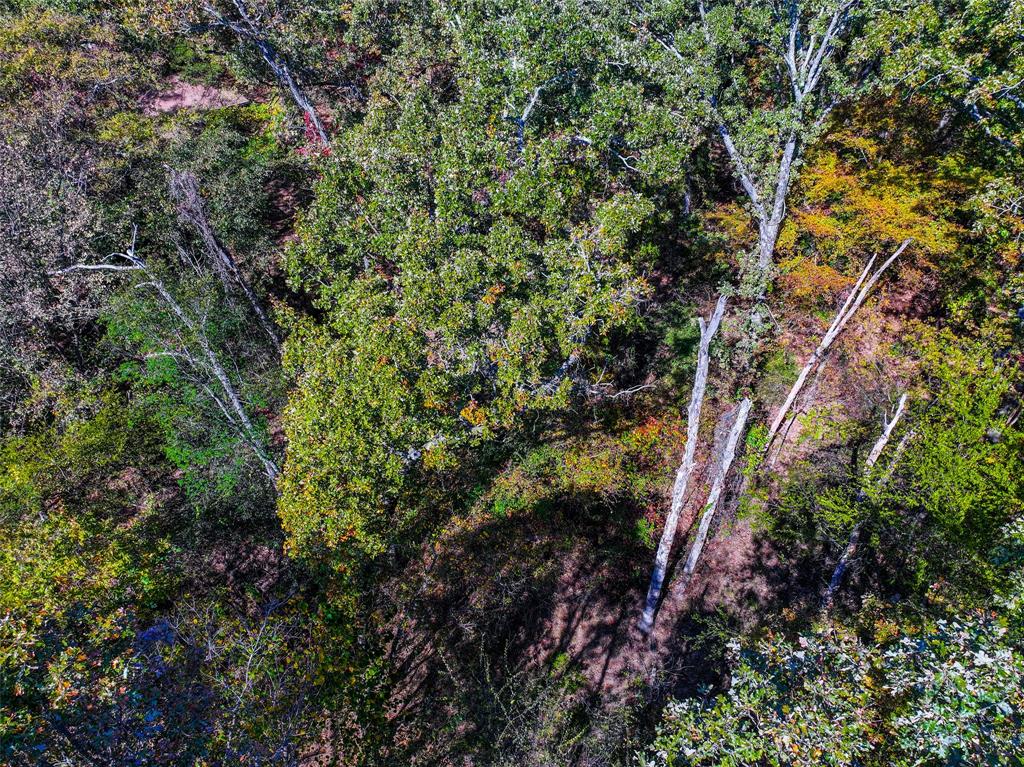 Lot 7 King Sebastian Road Scroggins, TX 75480 - Photo 25 of 40 a view of an outdoor space with a tree