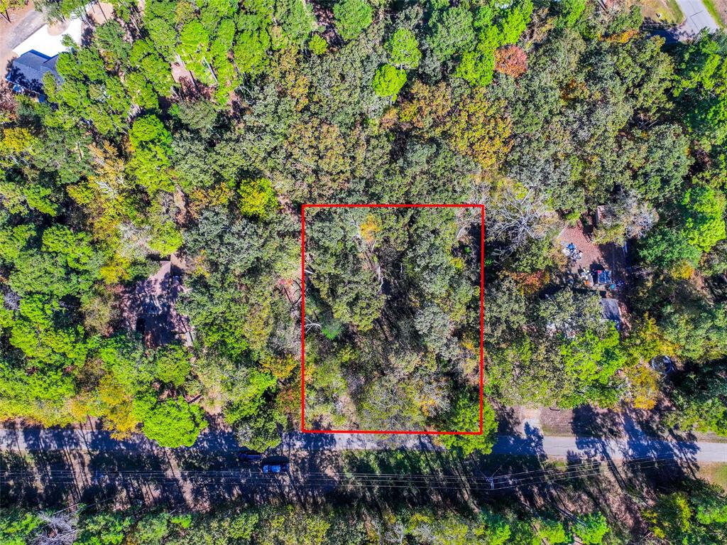 Lot 7 King Sebastian Road Scroggins, TX 75480 - Photo 4 of 40 a picture of flowers