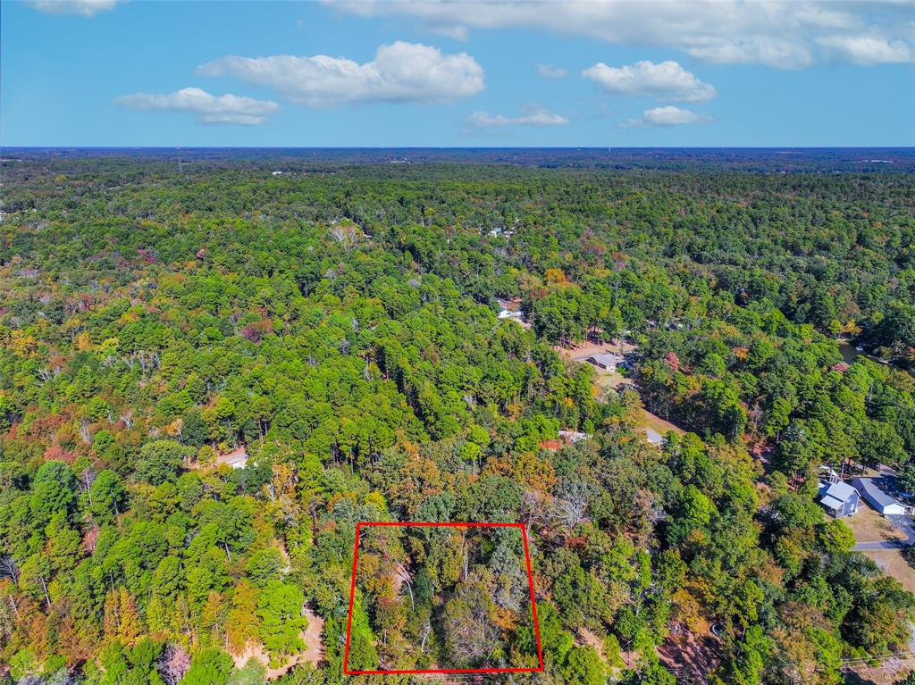 Lot 7 King Sebastian Road Scroggins, TX 75480 - Photo 7 of 40 a view of an outdoor area and a yard