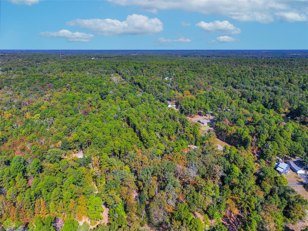 Lot 7 King Sebastian Road Scroggins, TX 75480 - Photo 8 of 40