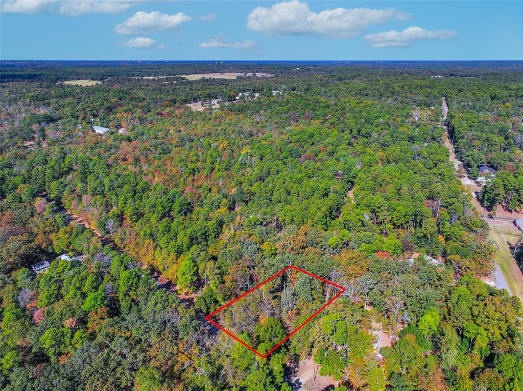 Lot 7 King Sebastian Road Scroggins, TX 75480 - Photo 9 of 40 a view of a yard with an outdoor space