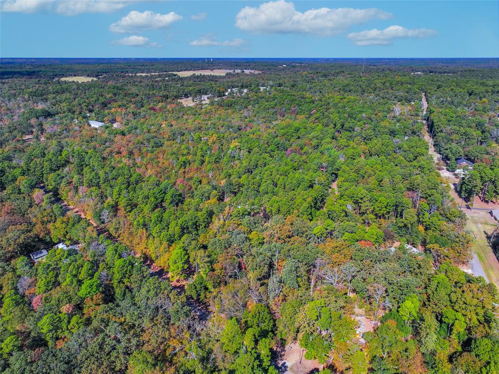 Lot 7 King Sebastian Road Scroggins, TX 75480 - Photo 10 of 40 a view of a yard with an outdoor space