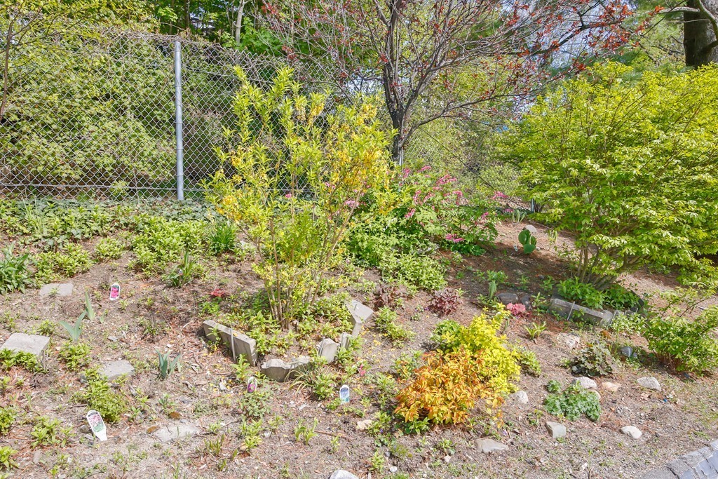 34 Hamilton Road, Unit 309 Arlington, MA 02474 - Photo 20 of 29 Gallery Image 20