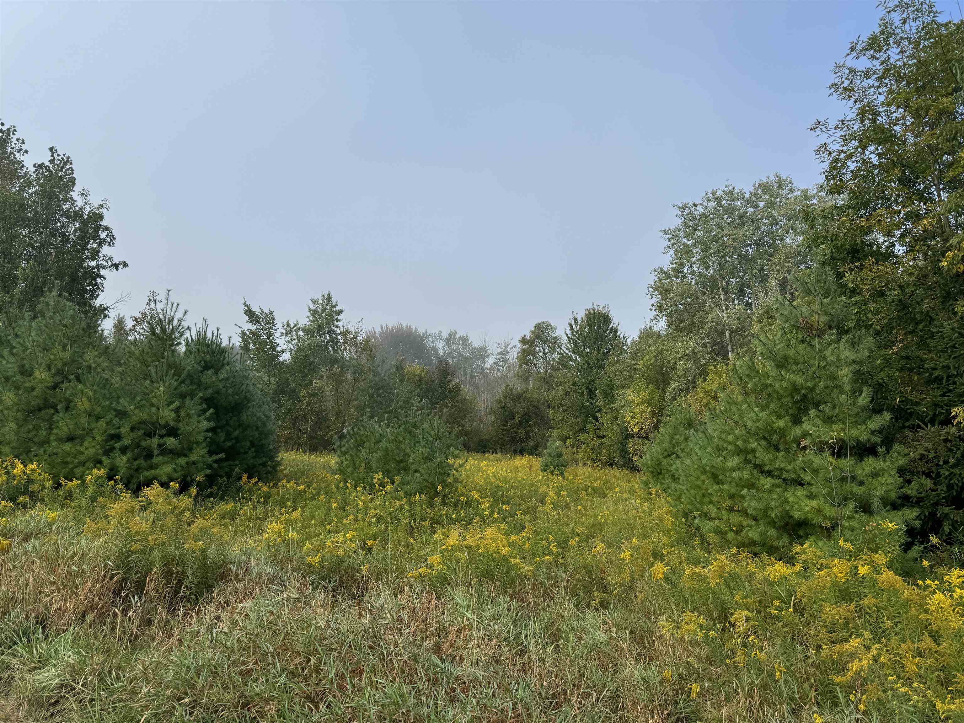 Tbd South Leaton Road Shepherd, MI 48883 - Photo 2 of 5