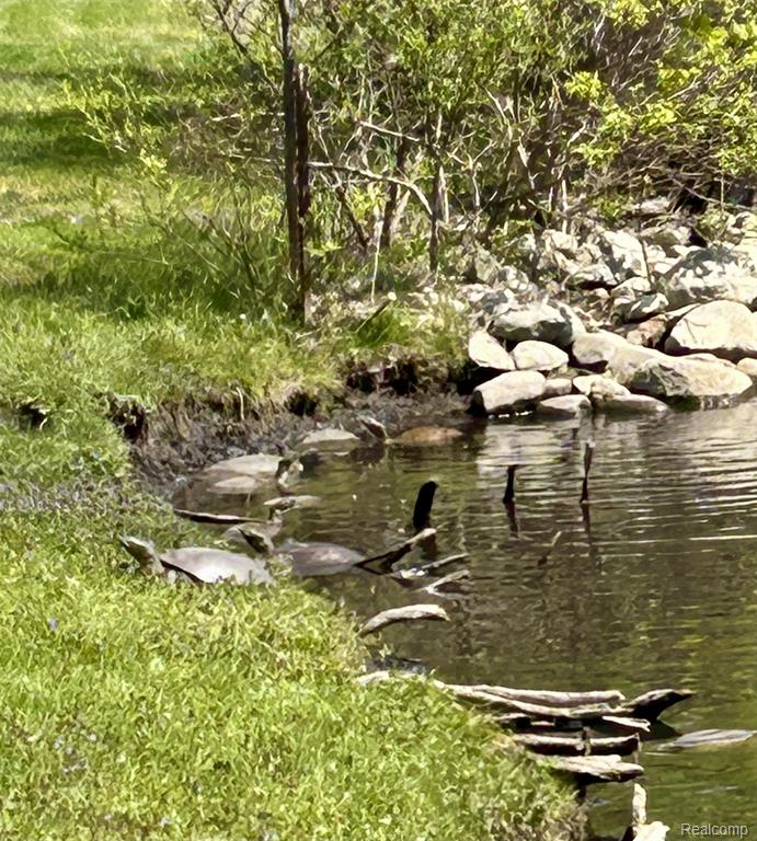 9831 Kress Road Pinckney, MI 48169 - Photo 35 of 36