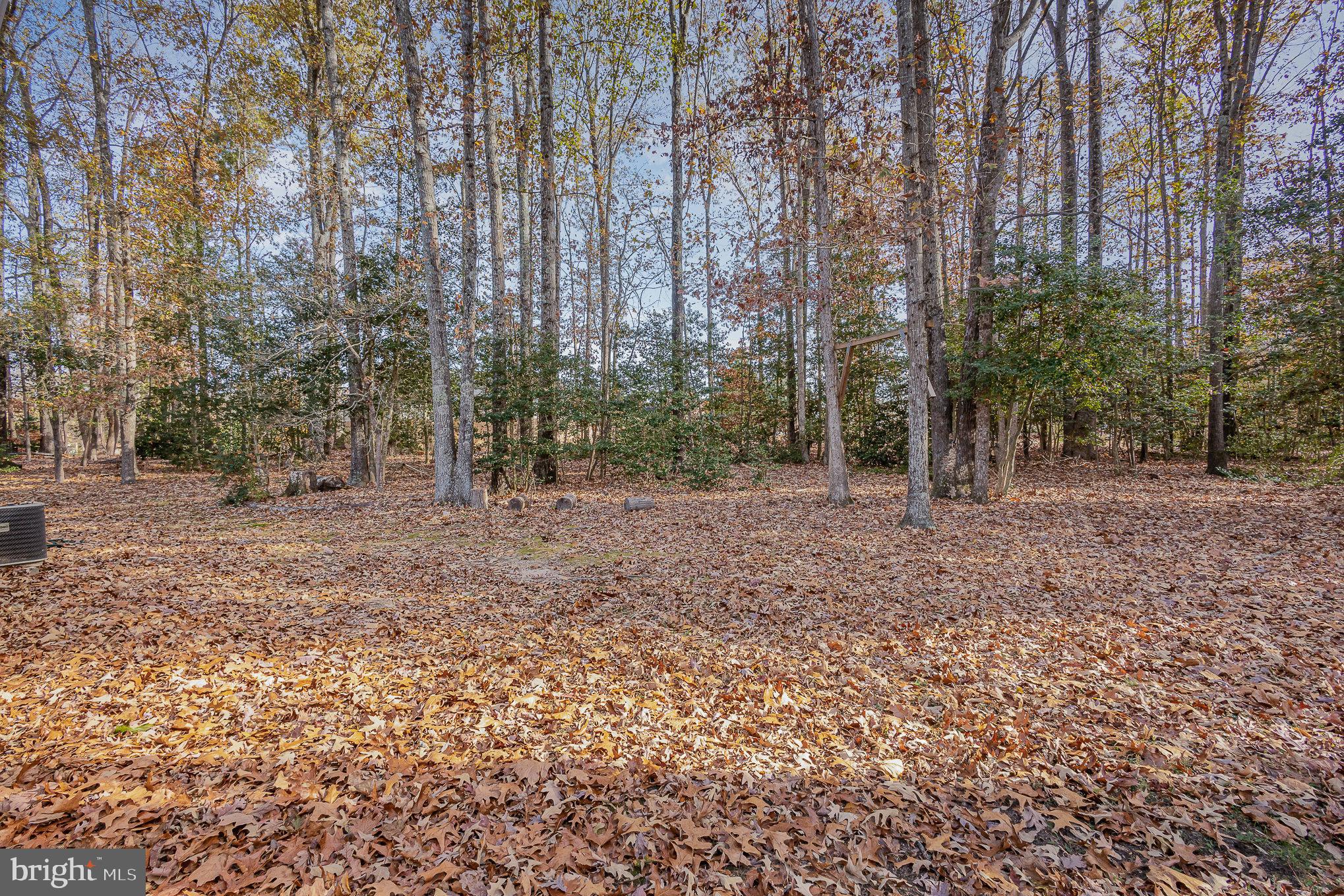 11128 Pine Hill Road, Unit 11132 King George, VA 22485 - Photo 18 of 19