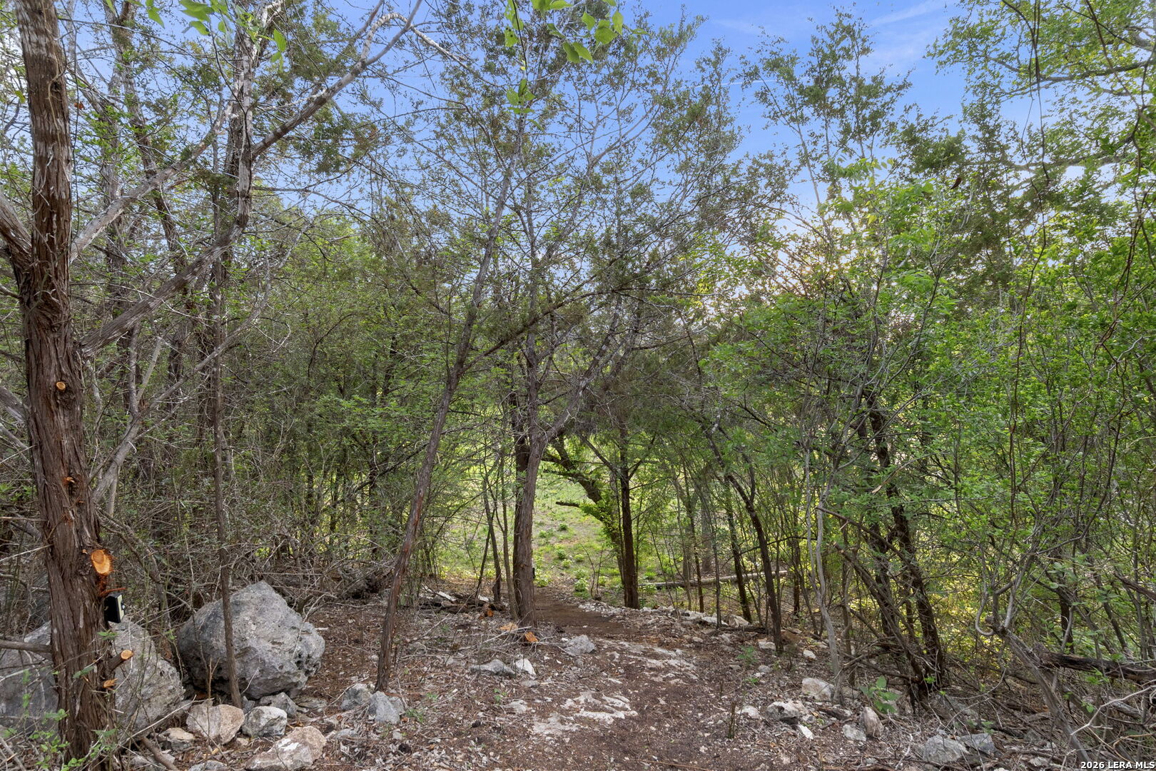 3701 Fischer Store Road Wimberley, TX 78676 - Photo 40 of 50